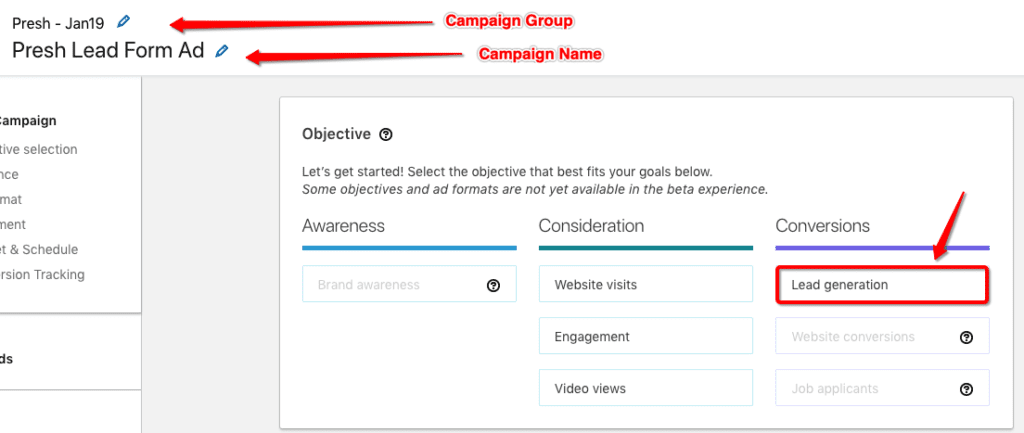 LinkedIn - Lead Ad Type