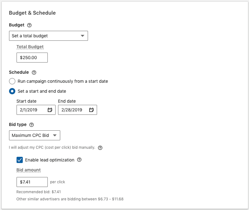LinkedIn Ads Set Budget